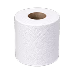 Toilet Paper
